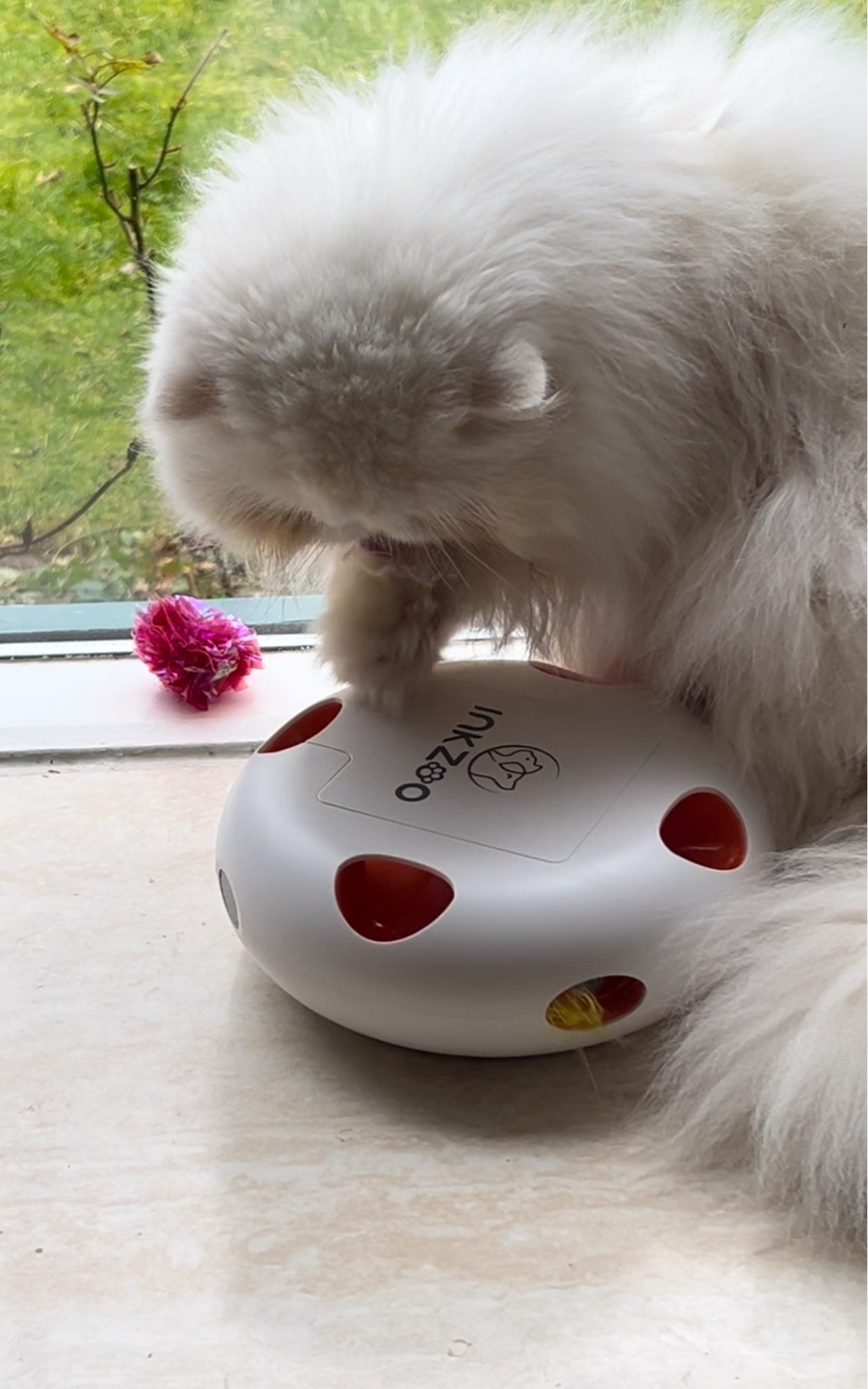 Whack-A-Mole Smart Interactive Cat Toy
