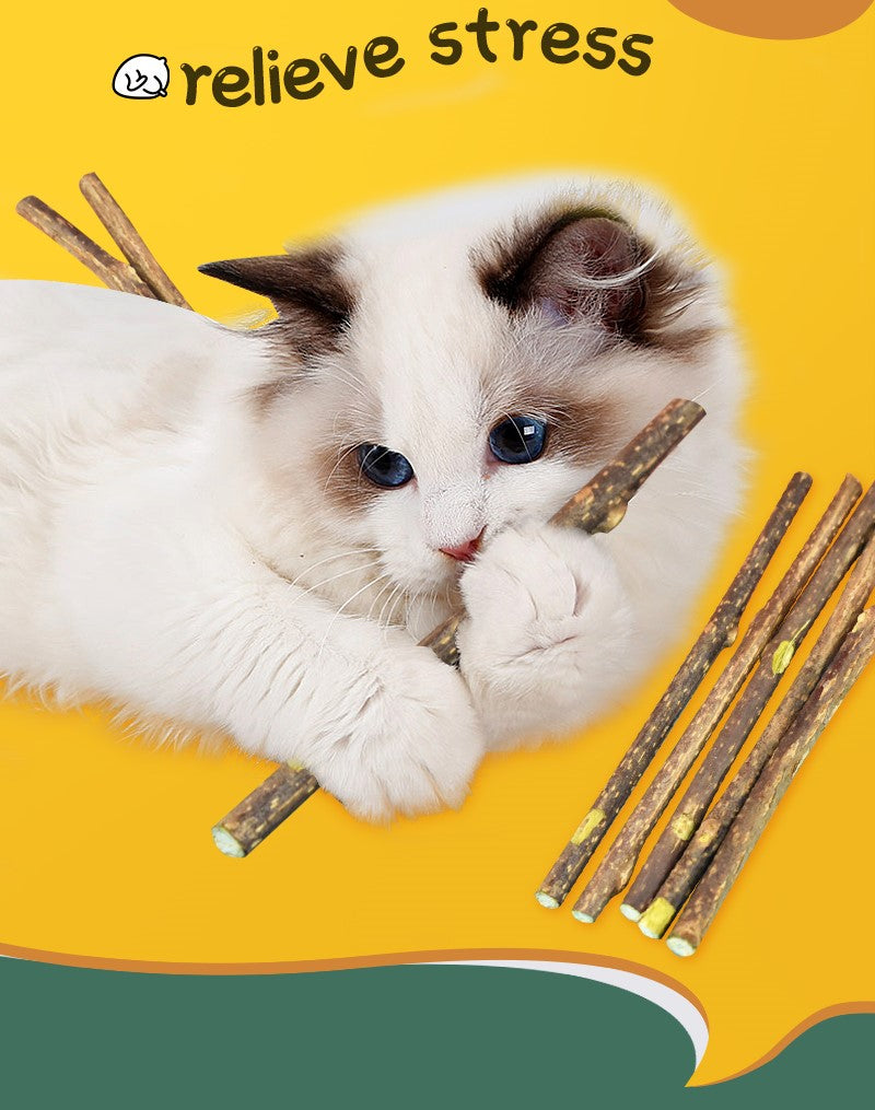 Catnip Natural Chew Stick for Cats