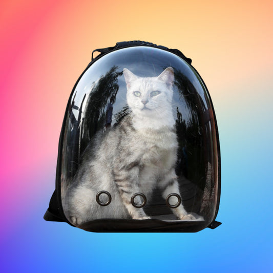Cat Adventure Backpack