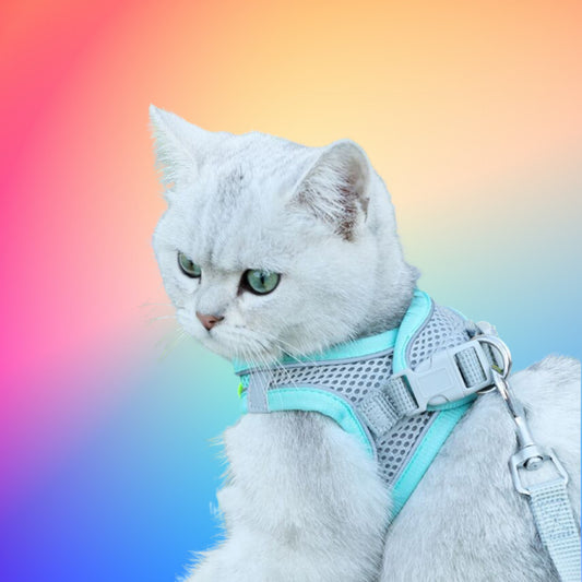 Cat Reflective Harness Vest.