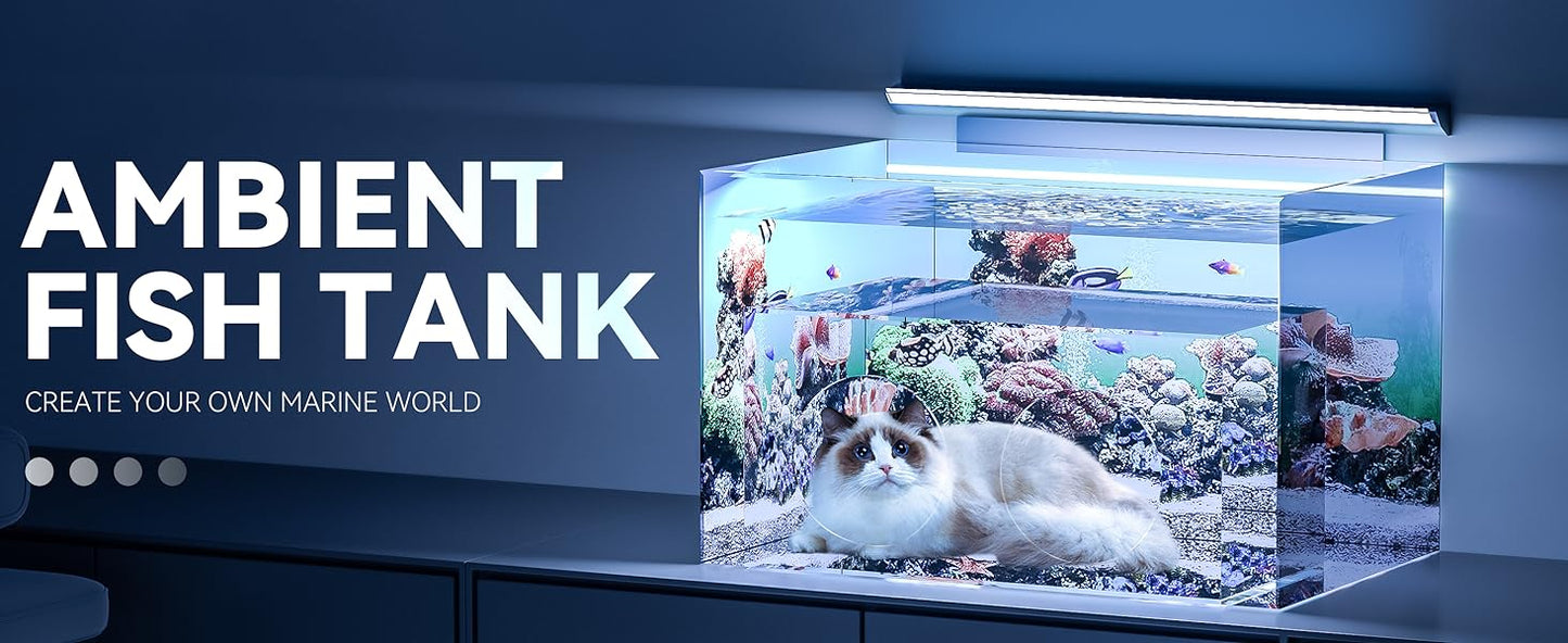 Cat Fish Tank